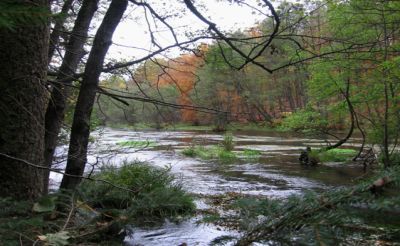 Zdjęcie przedstawiające potok rzeki Łupawy wykonane przez fotografa Kicińskiego