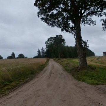 droga o nawierzchni z kruszywa drogowego stworzona podczas inwestycji drogowej „Modernizacja drogi gminnej w Radosławiu”
