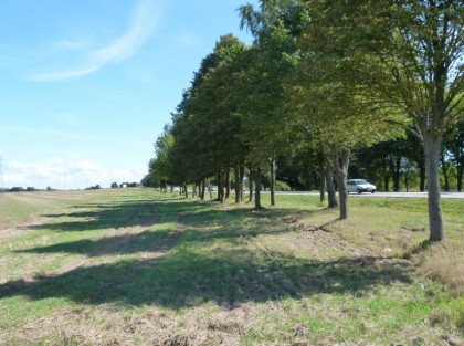 Zdjęcie numer 1 terenu Wielofunkcyjnego Ośrodka Przemysłowo-Usługowego w Potęgowie